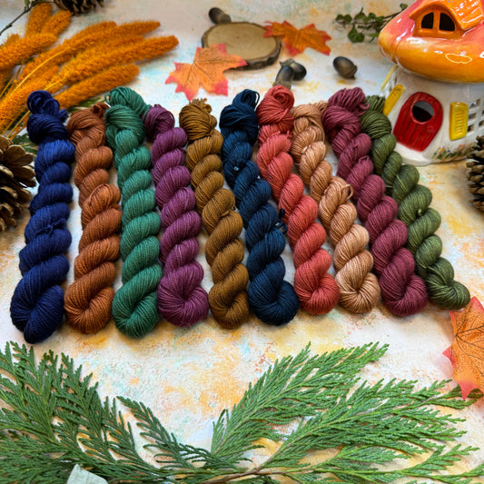 Mini skeins x 10 Tonals - Season of Magic Collection - Hand Dyed Yarn - Dyed to Order (6-8 weeks) - NEW